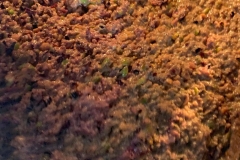 123531287_2776533706000115_7704142397227550542_n